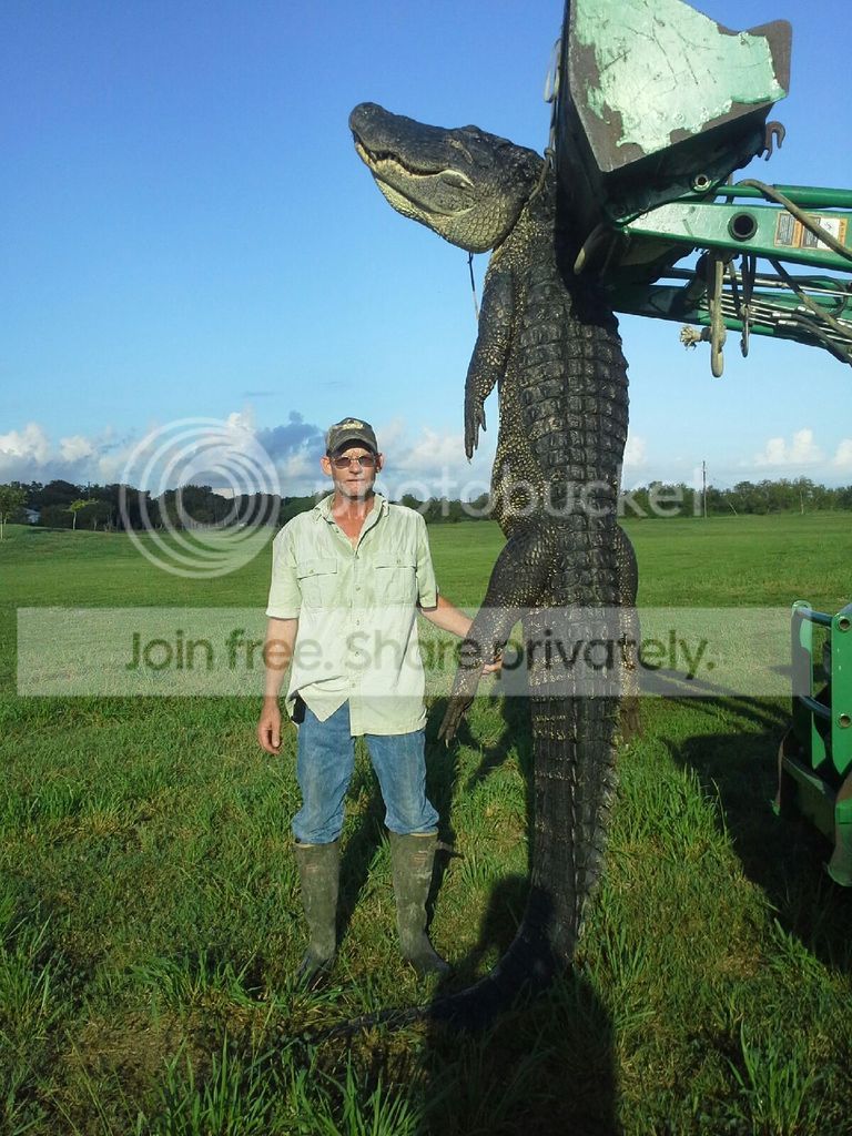 14.3 photo IMG_2587 2_zps5zn09i11.jpg