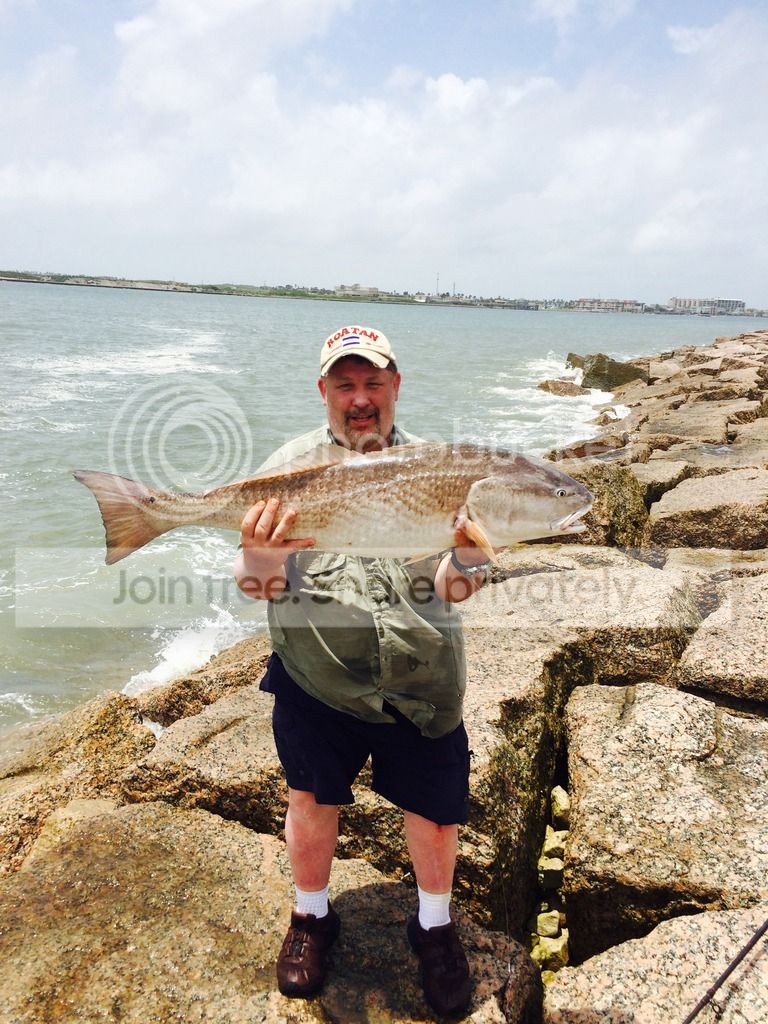 Bull Red photo bullred_zpsdl0qzmk3.jpg