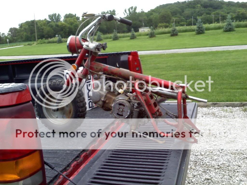Posted Image