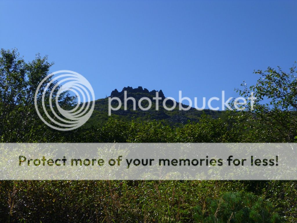 photo 002_zps4ce500b6.jpg
