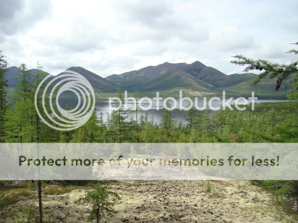 photo 09lesotundra_zps923d658d.jpg