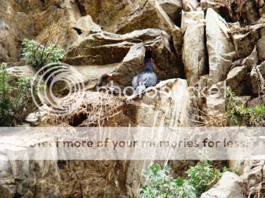 photo baklan_zpsddcc076a.jpg