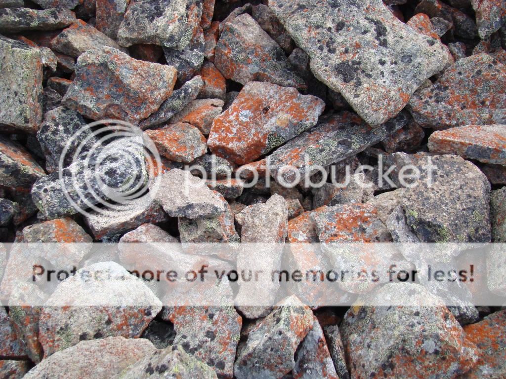 photo lithographo_zpsd6ea0926.jpg