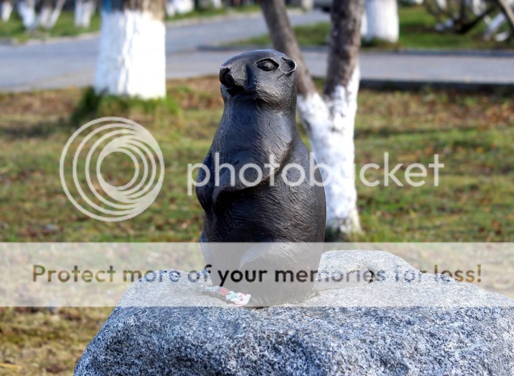photo susl_zpsc8f07a5e.jpg